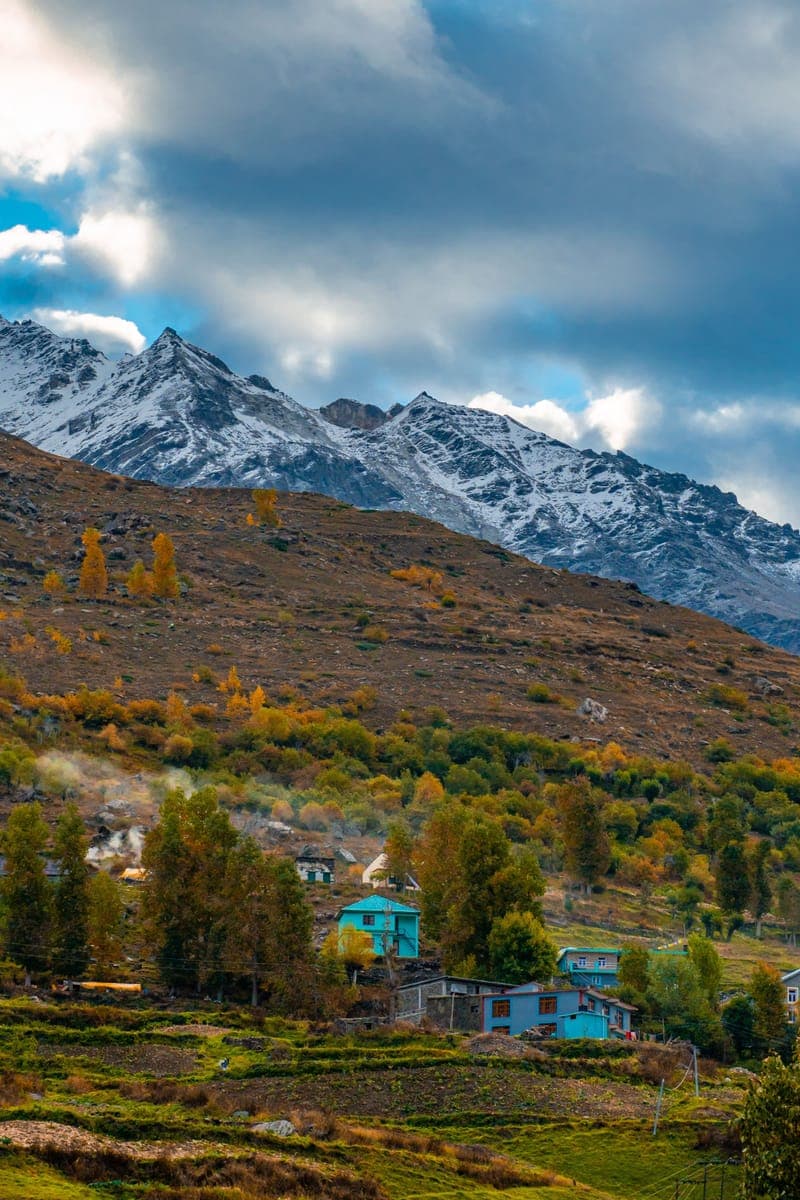 Snow-capped Himalayan peaks above a forested valley