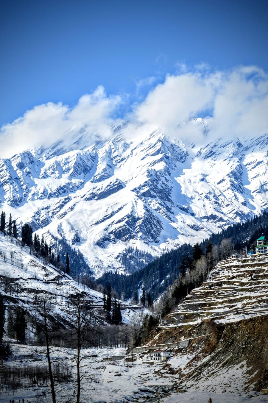 Snow-covered Himalayan range above a forested valley near Manali