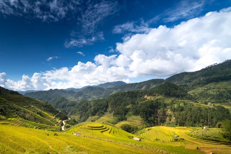 Terraced rice fields under a bright blue sky in Vietnam