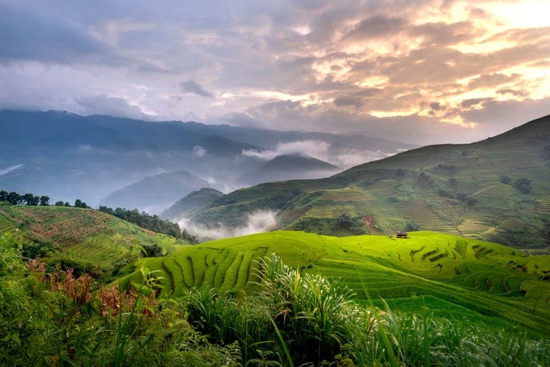 Mist drifting over terraced rice fields in northern Vietnam