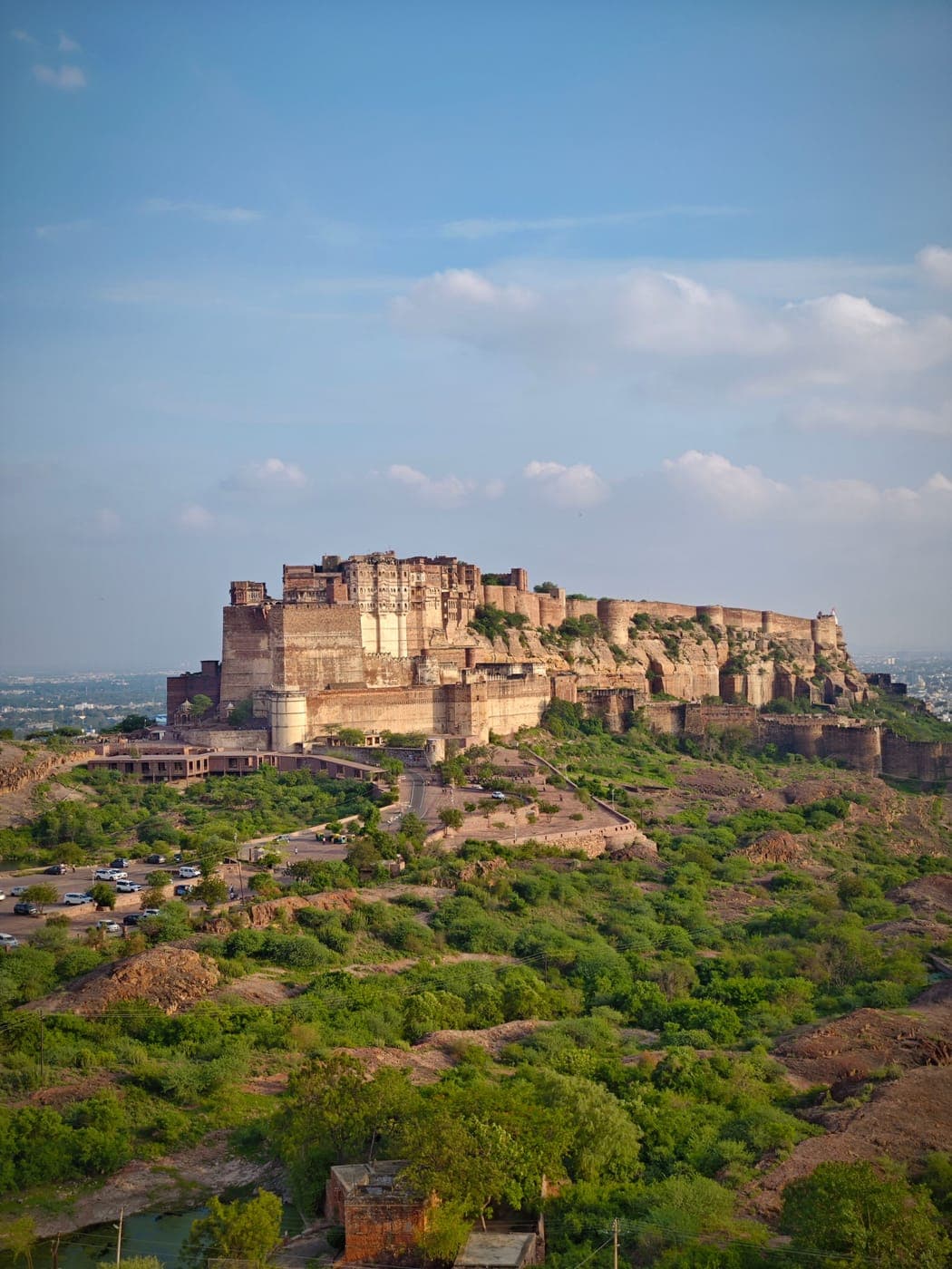 Mehrangarh Fort above the greenery of Jodhpur