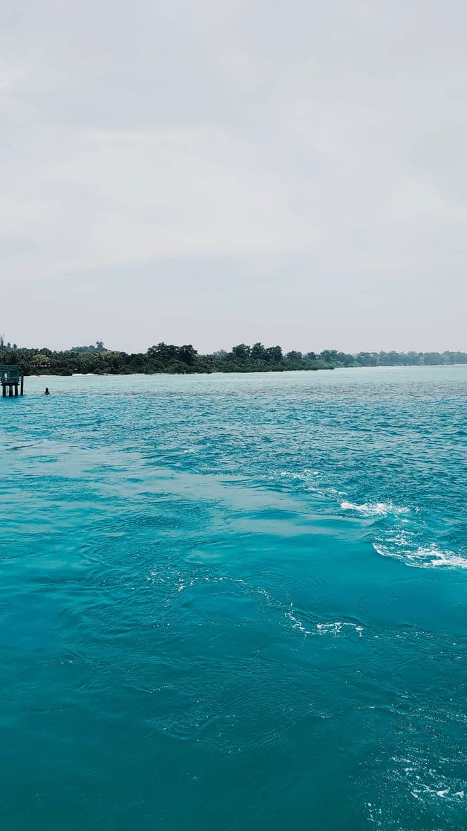 Turquoise sea lapping a forested tropical coastline